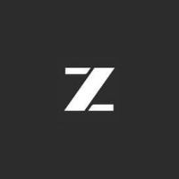 Z AI