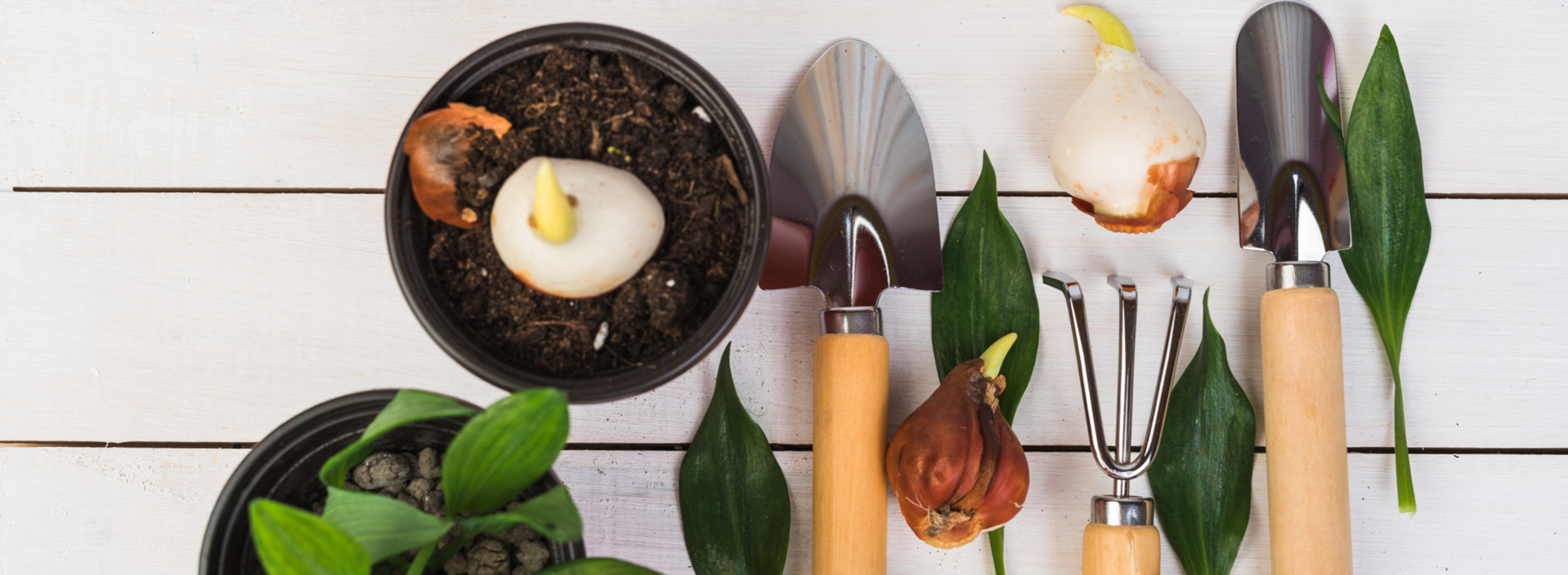 Lehman’s: Tools for a Simpler Life