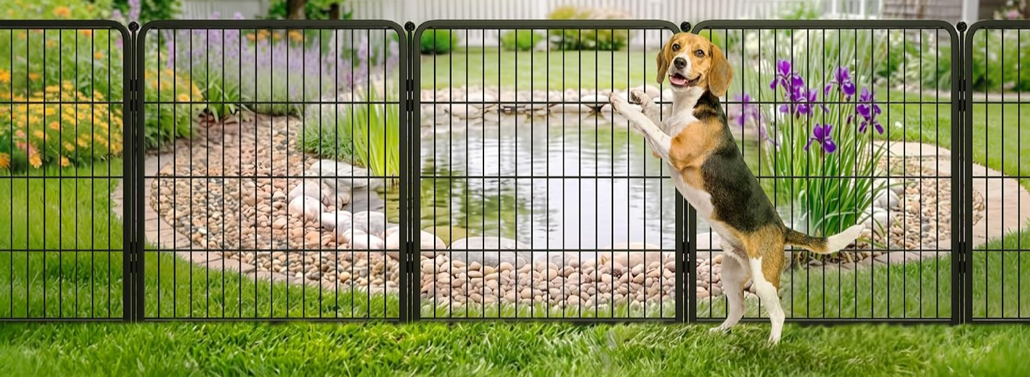 fxw  Backyard Dog Area
