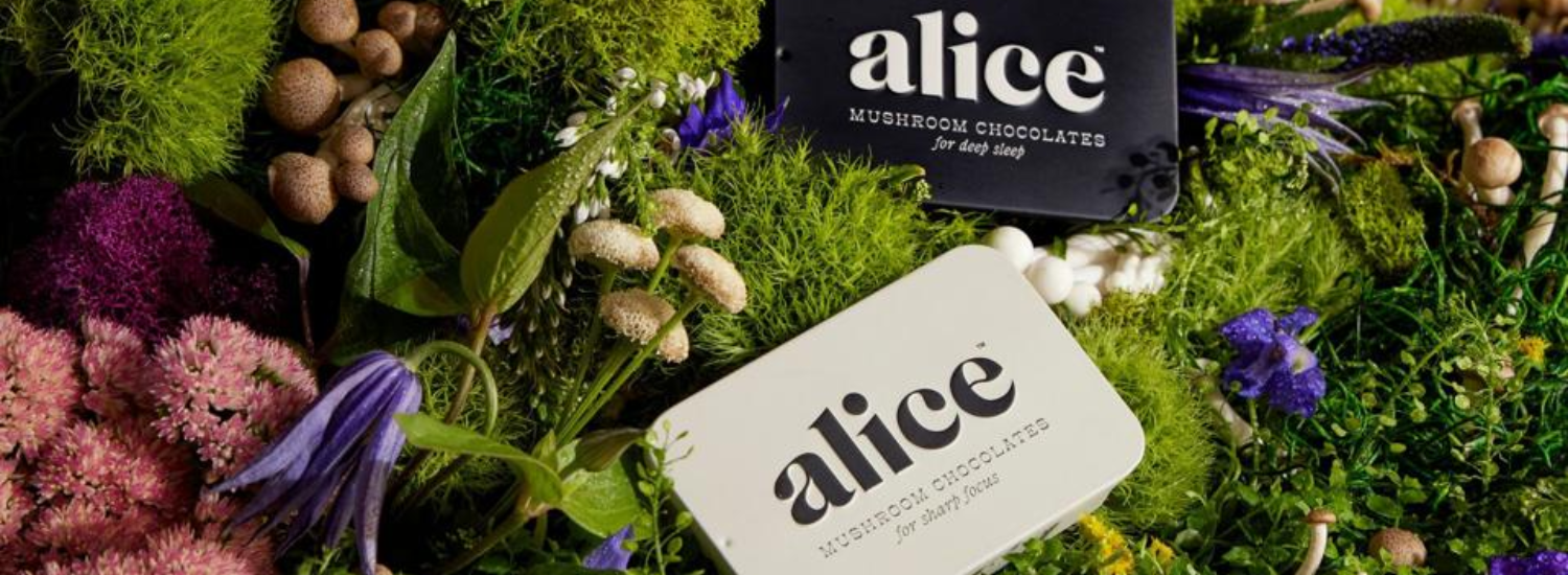 Alice Mushrooms