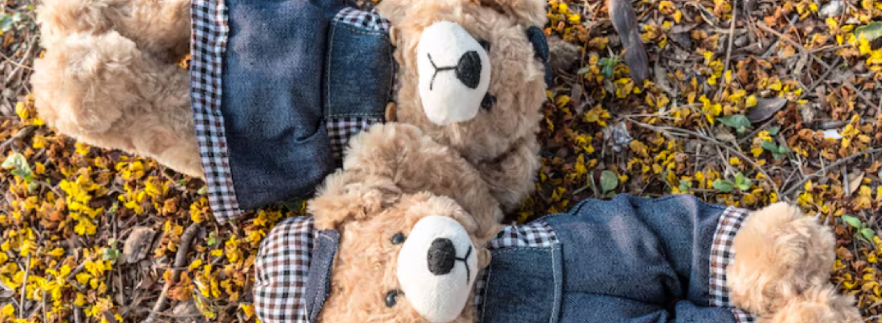 The Ultimate Guide to Choosing the Perfect Vermont Teddy Bear
