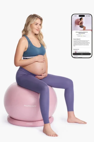 BirthEase Pregnancy Ball Set—Maternity Exercise Ball
